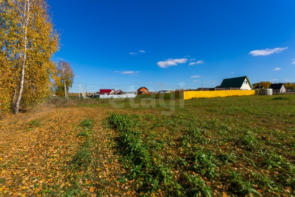 
  Продается земельный участок 8.95 соток. Фото 4.