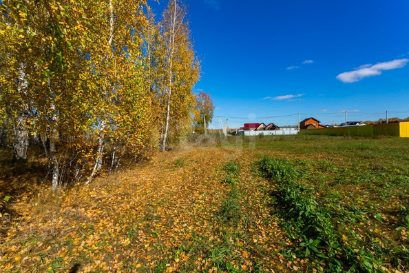 
  Продается земельный участок 8.95 соток. Фото 5.