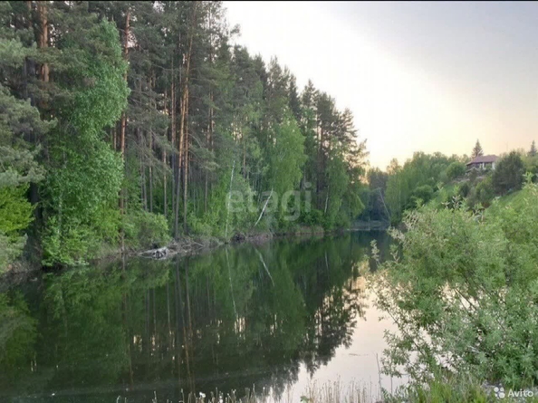
  Продается земельный участок 20 соток. Фото 4.