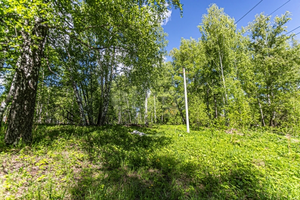 
  Продается земельный участок 10.4 соток. Фото 13.