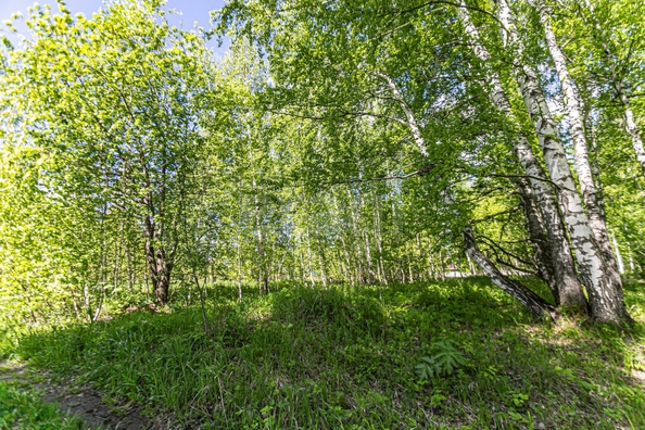
  Продается земельный участок 10.4 соток. Фото 19.