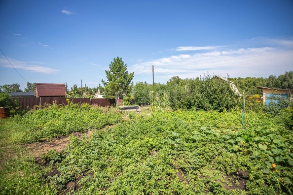 
  Продается земельный участок 5 соток. Фото 2.