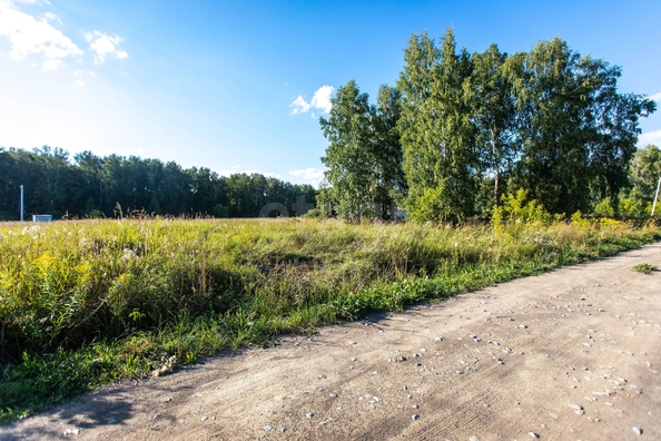
  Продается земельный участок 9.56 соток. Фото 6.