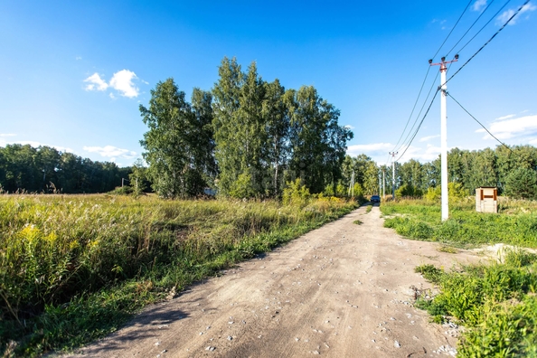 
  Продается земельный участок 9 соток. Фото 2.