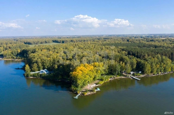 
  Продается земельный участок 290 соток. Фото 5.