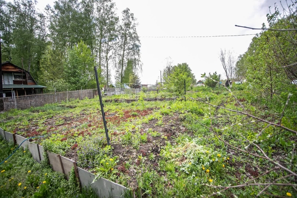 
  Продается земельный участок 7.9 соток. Фото 14.