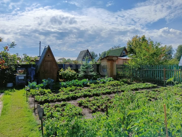 
  Продается дача 22.2 м². Фото 15.