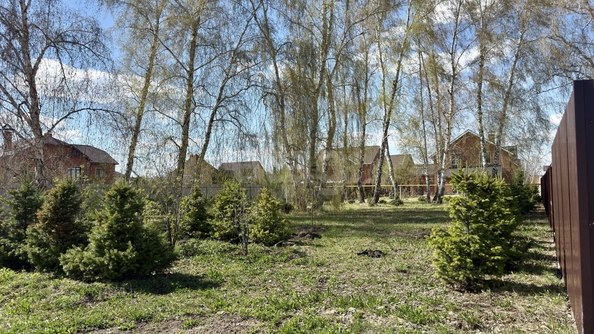 
  Продается земельный участок 8.14 соток, в КП Морские просторы. Фото 1.