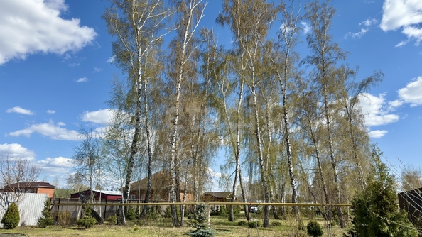 
  Продается земельный участок 8.14 соток, в КП Морские просторы. Фото 11.