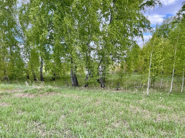 
  Продается земельный участок 71.76 сотка. Фото 13.