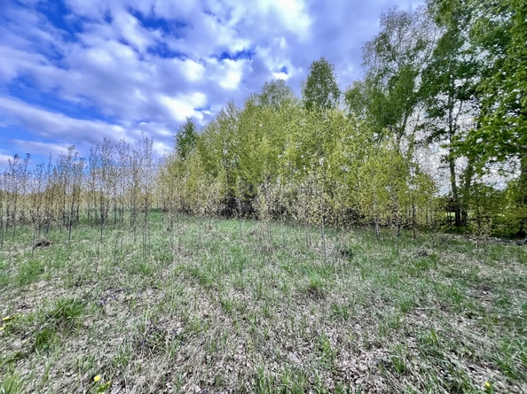 
  Продается земельный участок 71.76 сотка. Фото 17.