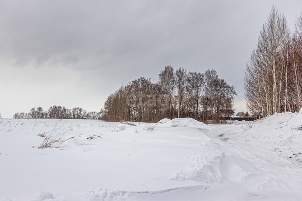 
  Продается земельный участок 7 соток. Фото 7.