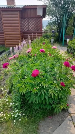 
  Продается дача 38 м². Фото 6.