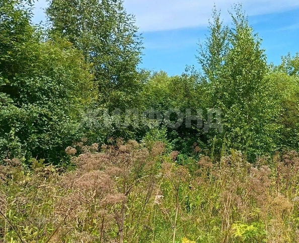 
  Продается дача 30 м². Фото 14.