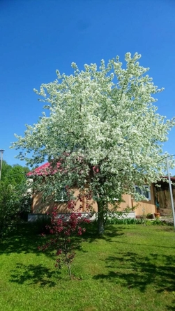 
  Продается дом 45.5 м². Фото 5.