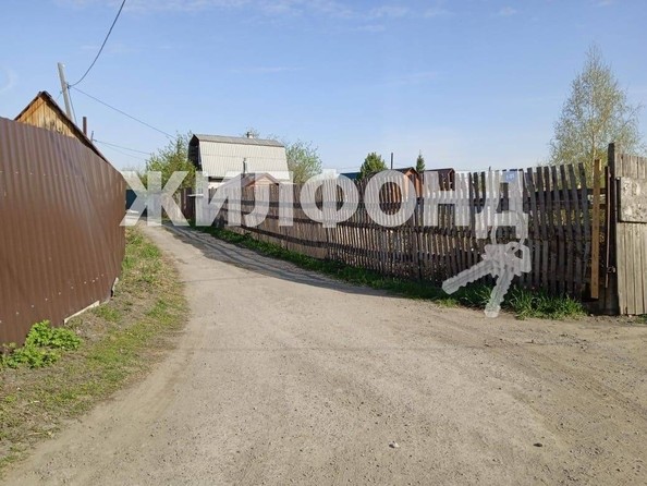
  Продам  дачный участок, 4 соток, Новосибирск

. Фото 5.