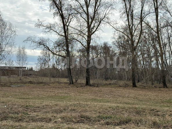 
  Продам  дачный участок, 6.03 соток, Боровое село

. Фото 2.