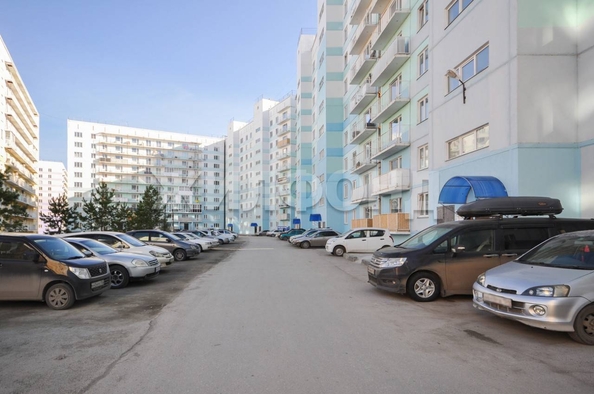 
  Продается студия, 38.3 м², Виктора Шевелева ул, д. 24
. Фото 2.