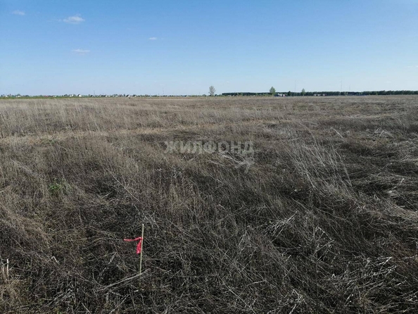 
  Продам  дачный участок, 1000 соток, Колывань

. Фото 1.