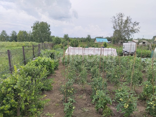 
   Продам дом, 64.9 м², Бурмистрово

. Фото 20.
