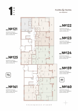 plan floor