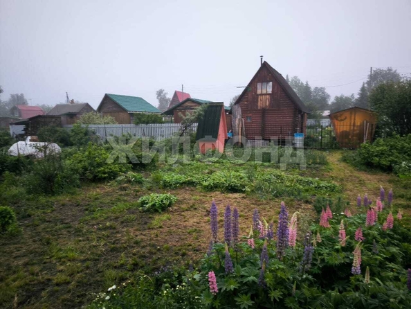 
  Продам дачу, 4 соток, Краснообск пос

. Фото 7.