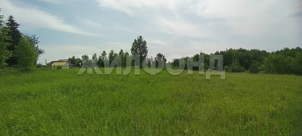 
  Продается земельный участок, 12 соток, поселок Воробьевский
. Фото 2.