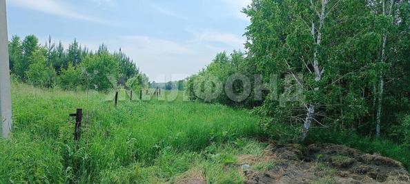 
  Продается земельный участок, 12 соток, поселок Воробьевский
. Фото 16.