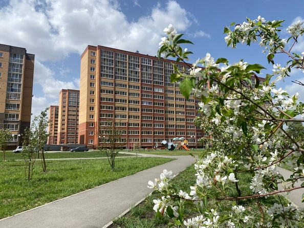 
   Продам 2-комнатную, 50 м², Юности ул, 7

. Фото 5.