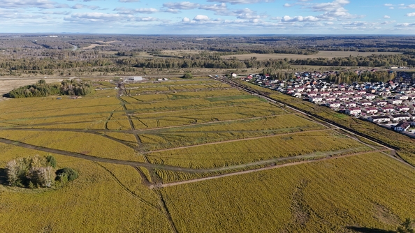 
  Продам  дачный участок, 8.8 соток, Октябрьский

. Фото 1.