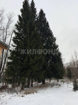
  Продам  дачный участок, 51.4 соток, Кубовая село

. Фото 26.
