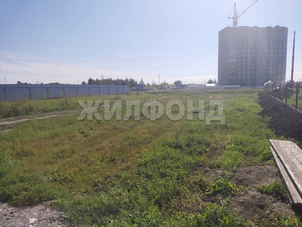 
  Продам  дачный участок, 10.3 соток, Обь

. Фото 8.