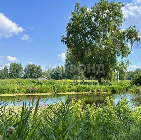 
  Продам  дачный участок, 6 соток, Воробьевский пос

. Фото 1.