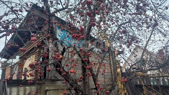 
   Продам дом, 73.3 м², Новосибирск

. Фото 4.