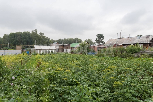 
   Продам дом, 21.7 м², Мошково

. Фото 32.