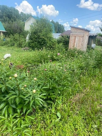 
  Продается дача, 40 м², Новосибирск
. Фото 5.