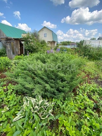 
  Продается дача, 40 м², Новосибирск
. Фото 15.