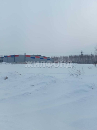 
  Продам  дачный участок, 9.15 соток, Садовый пос

. Фото 2.