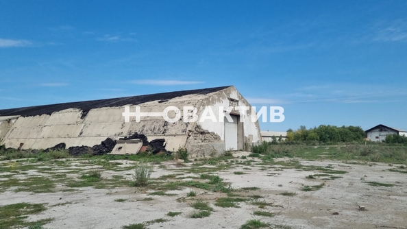 
   Продам помещение свободного назначения, 865.3 м², Рощинская ул, 17

. Фото 2.