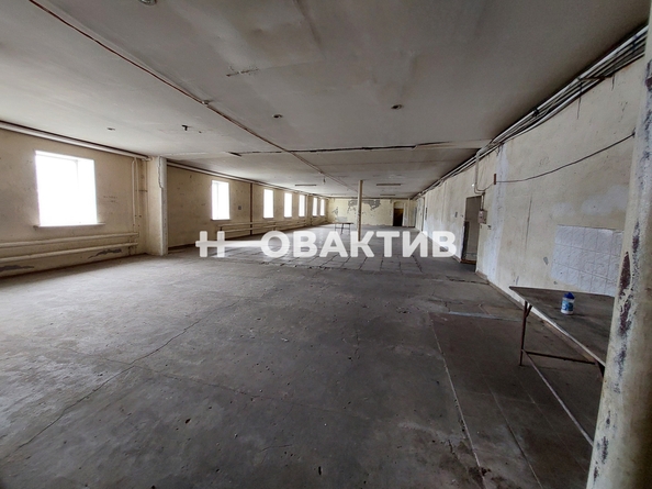 
   Сдам торговое помещение, 450 м², Революционный пр-кт, 32А

. Фото 4.