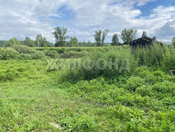 
  Продается дом, 41.6 м², деревня Барсуково
. Фото 10.