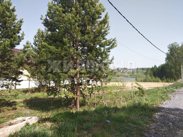 
  Продам  дачный участок, 9.2 соток, Каинская Заимка

. Фото 4.