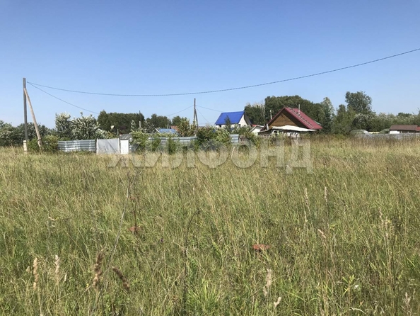 
  Продам  дачный участок, 12 соток, Калиновка

. Фото 2.