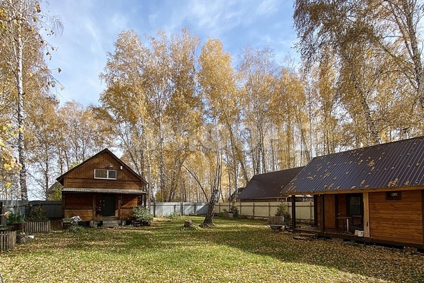 
  Продам дачу, 6 соток, Сосновка

. Фото 2.