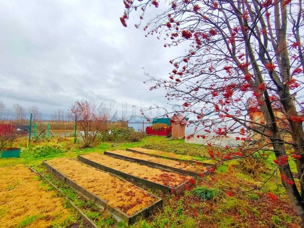 
   Продам дом, 222.3 м², Чаус

. Фото 8.