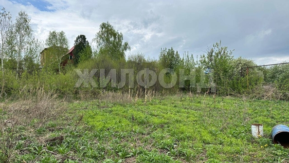 
  Продается дом, 35 м², село Новолуговое
. Фото 13.