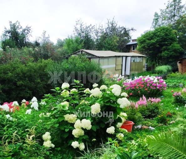 
  Продам дачу, 8 соток, Новосибирск

. Фото 6.