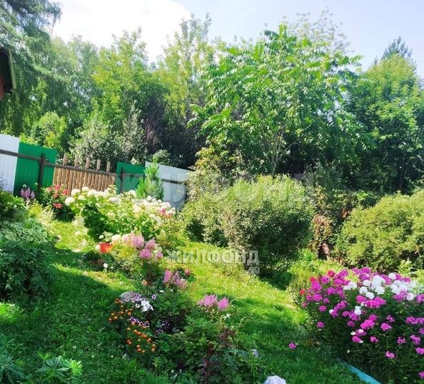
  Продам дачу, 8 соток, Новосибирск

. Фото 8.