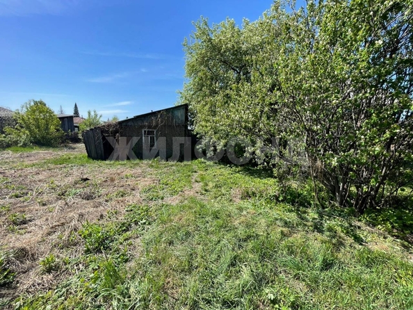 
  Продается дом, 43.7 м², село Толмачево
. Фото 21.