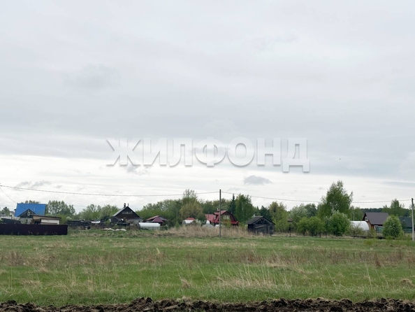 
  Продается земельный участок, 15 соток, село Береговое
. Фото 3.